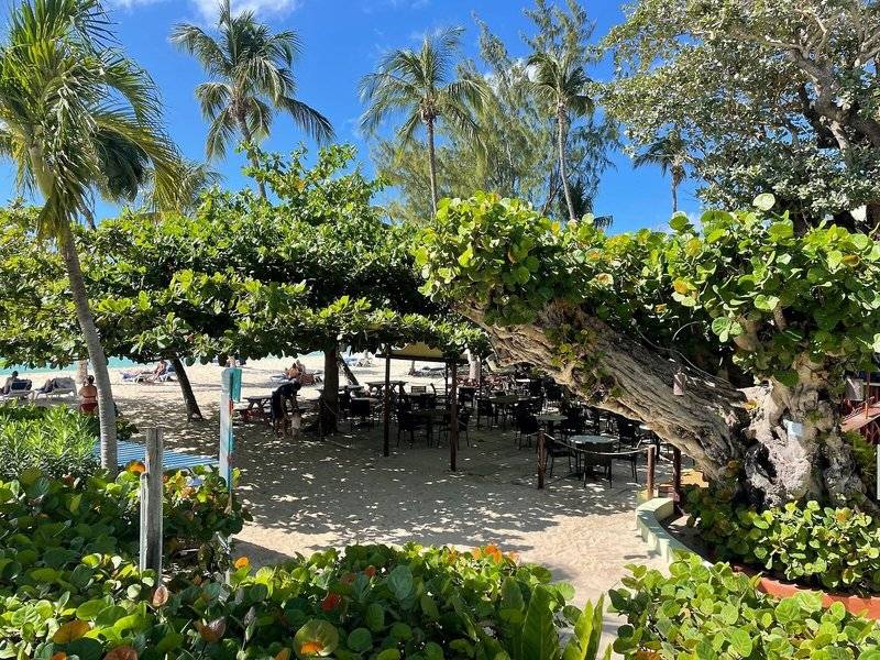 Coconut Court Beach Hotel - Barbados