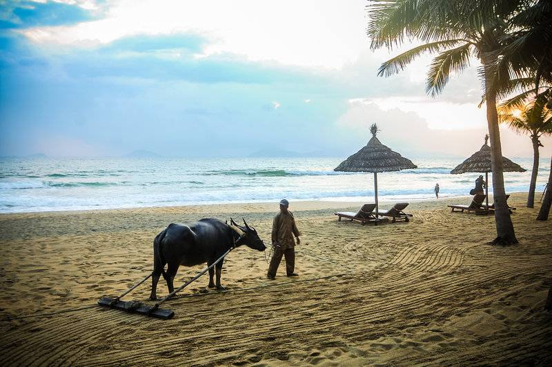 Palm Garden Beach Resort Hoi An in Vietnam