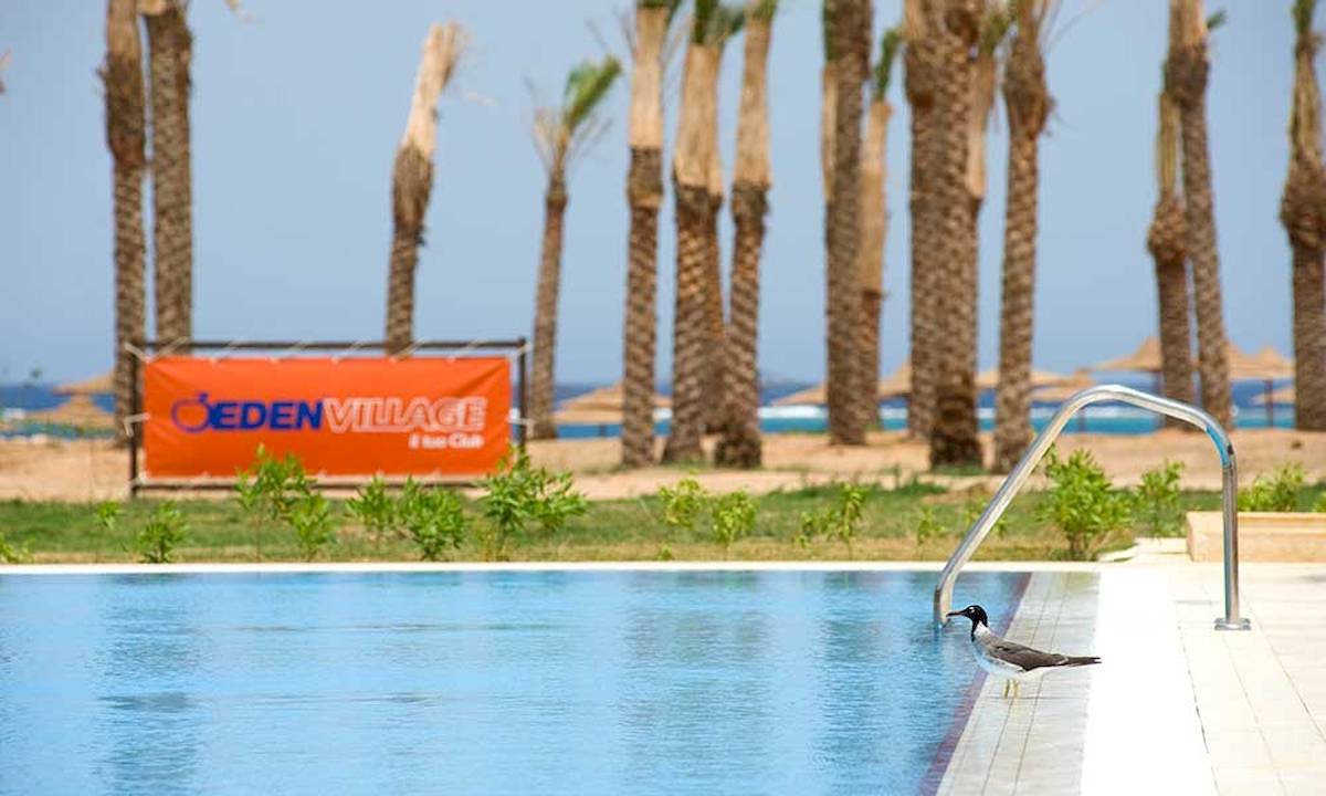 Gemma Resort in Marsa Alam