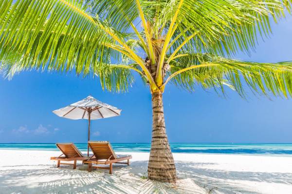 Mauritius, Strand, Palm, Badeferien, Ferien