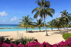 Coconut Court Beach Hotel - Barbados