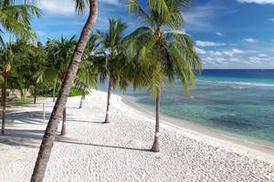 Coconut Court Beach Hotel - Barbados