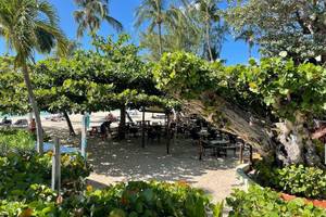 Coconut Court Beach Hotel - Barbados